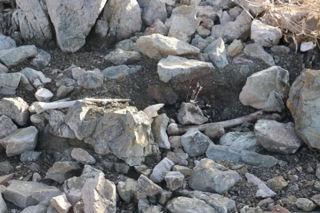 Sular çekilince insan kemikleri ortaya çıktı! 11