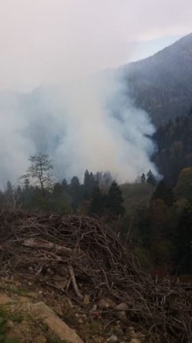 Gümüşhane'de Örümcek ormanlarındaki yangınlar kontrol altında 2