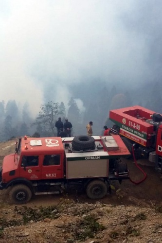 Gümüşhane'de Örümcek ormanlarındaki yangınlar kontrol altında 4