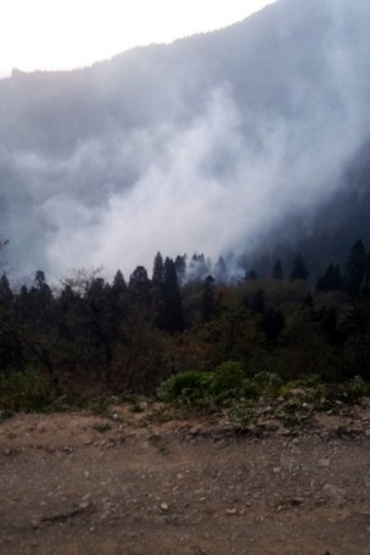 Gümüşhane'de Örümcek ormanlarındaki yangınlar kontrol altında 5