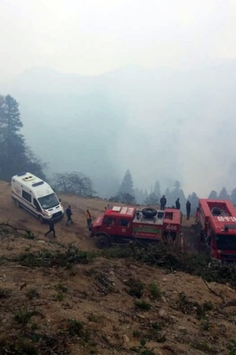 Gümüşhane'de Örümcek ormanlarındaki yangınlar kontrol altında 3