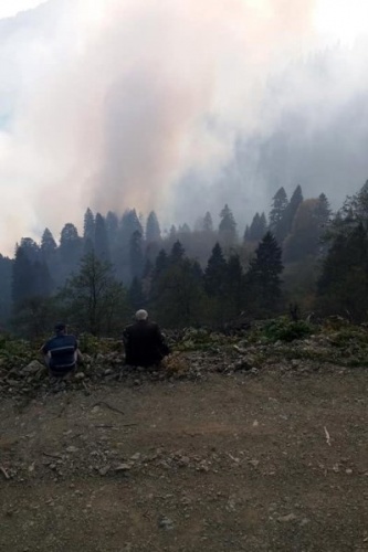 Gümüşhane'de Örümcek ormanlarındaki yangınlar kontrol altında 6