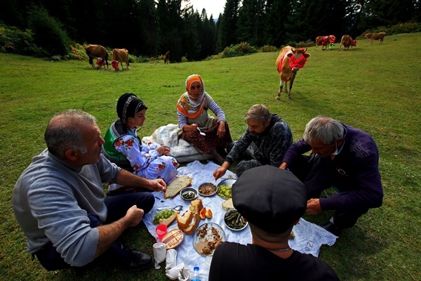 Doğu Karadeniz'de yaylacıların yerleşim yerlerine göç yolculuğu sürüyor 3