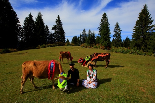 Doğu Karadeniz'de yaylacıların yerleşim yerlerine göç yolculuğu sürüyor 17