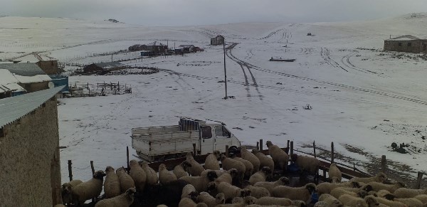 Doğu Karadeniz'deki dağda mevsimin ilk yarı yağdı 4