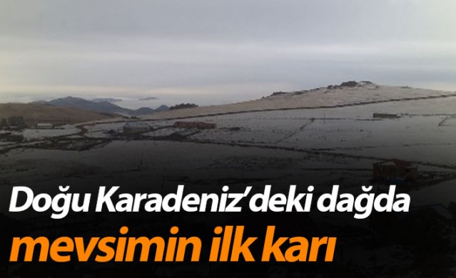 Doğu Karadeniz'deki dağda mevsimin ilk yarı yağdı 1