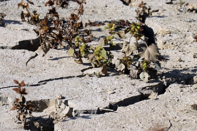 Göldeki kuraklık dikkat çekiyor 3