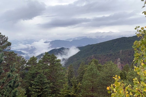 Gümüşhane'de kar yüzünü gösterdi 8