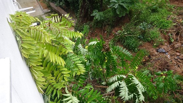 KTÜ'de istinat duvarı çöktü! Ev ve iş yerlerini su bastı, yollar göle döndü 14