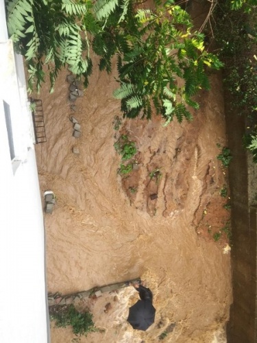 KTÜ'de istinat duvarı çöktü! Ev ve iş yerlerini su bastı, yollar göle döndü 15