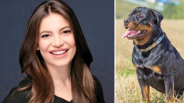 Hazal Erişkin'in yüzünü köpek parçaladı! Hazal Erişkin kimdir? 6