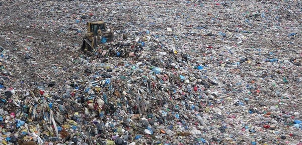 Trabzon'da facia uyarısı! “Vahşi depolama yapılıyor” 15