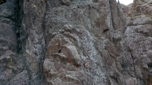 Keçilerin zirveye yolculuğu havadan görüntülendi. 3