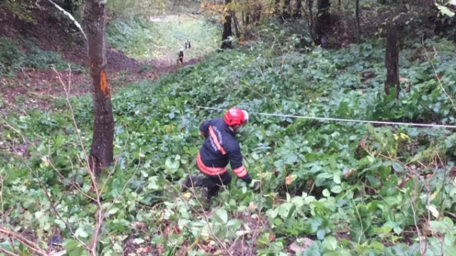 Trabzon'da kamyonet uçuruma yuvarlandı: 2 Yaralı 2