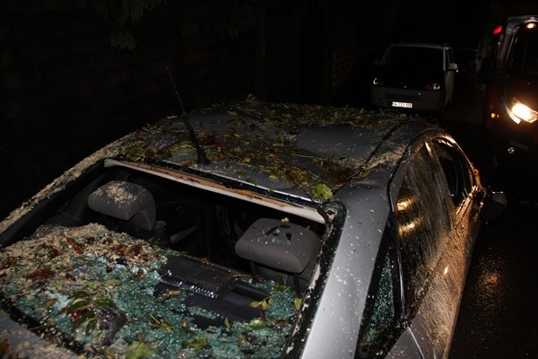 Rize’de 2 araç kökünden kopan ağacın altında kaldı 4