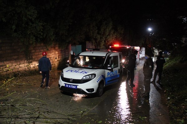 Rize’de 2 araç kökünden kopan ağacın altında kaldı 7