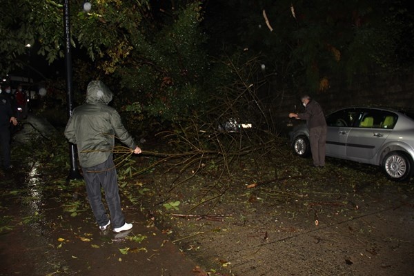 Rize’de 2 araç kökünden kopan ağacın altında kaldı 9