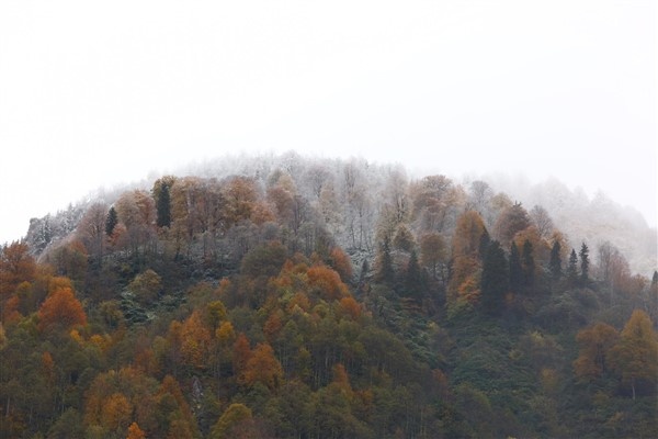 Artvin'de sonbahar güzelliği 2