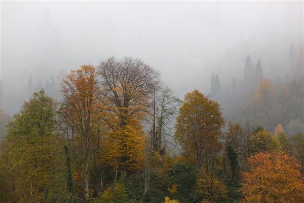 Artvin'de sonbahar güzelliği 6