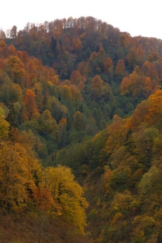 Artvin'de sonbahar güzelliği 13