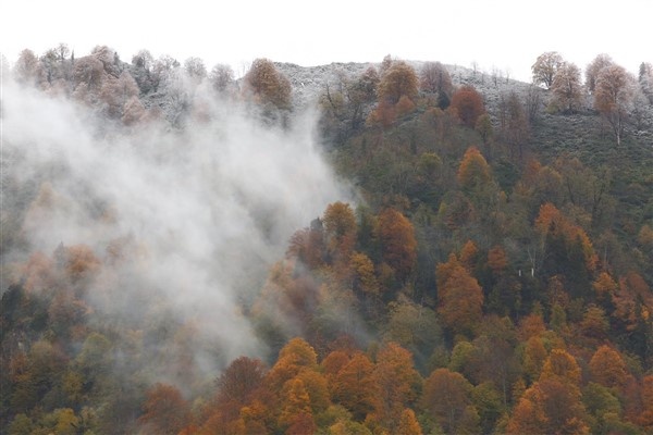 Artvin'de sonbahar güzelliği 5