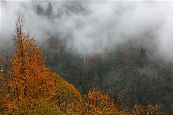 Artvin'de sonbahar güzelliği 8