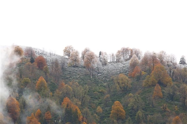 Artvin'de sonbahar güzelliği 3