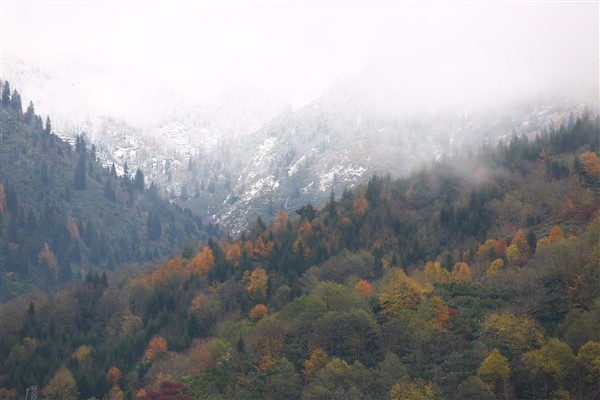Artvin'de sonbahar güzelliği 4