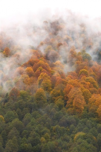 Artvin'de sonbahar güzelliği 11