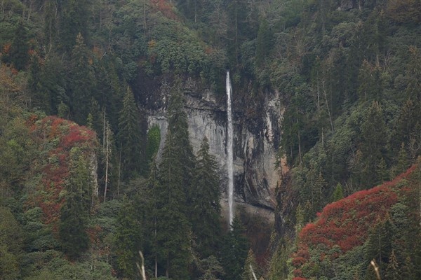 Artvin'de sonbahar güzelliği 14