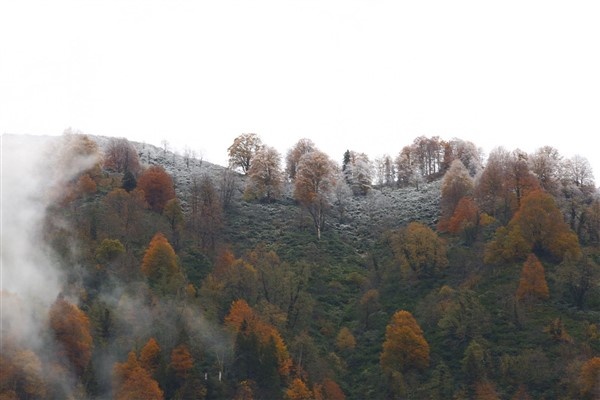 Artvin'de sonbahar güzelliği 15