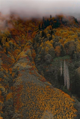 Artvin'de sonbahar güzelliği 7