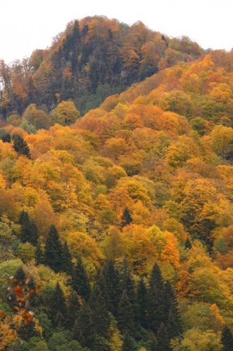 Artvin'de sonbahar güzelliği 12