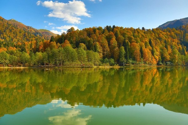 UNESCO korumalı Macahel’de sonbahar büyüleyici manzaralar sundu 7
