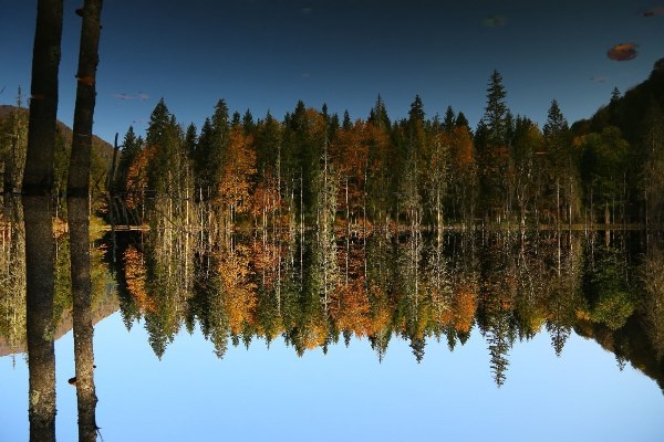 UNESCO korumalı Macahel’de sonbahar büyüleyici manzaralar sundu 11
