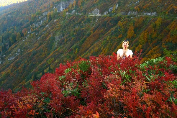 UNESCO korumalı Macahel’de sonbahar büyüleyici manzaralar sundu 13