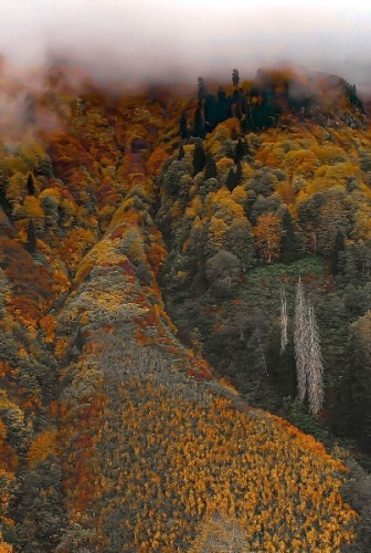 UNESCO korumalı Macahel’de sonbahar büyüleyici manzaralar sundu 9