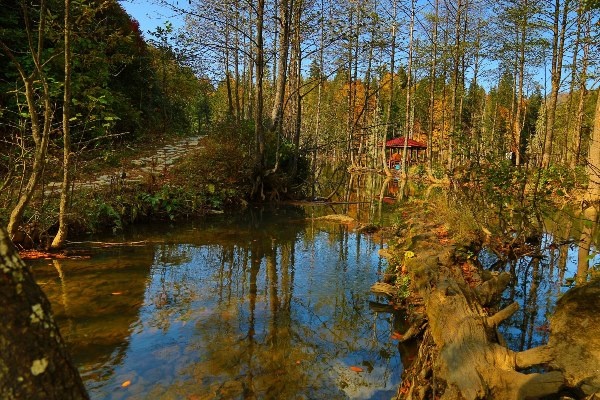 UNESCO korumalı Macahel’de sonbahar büyüleyici manzaralar sundu 5