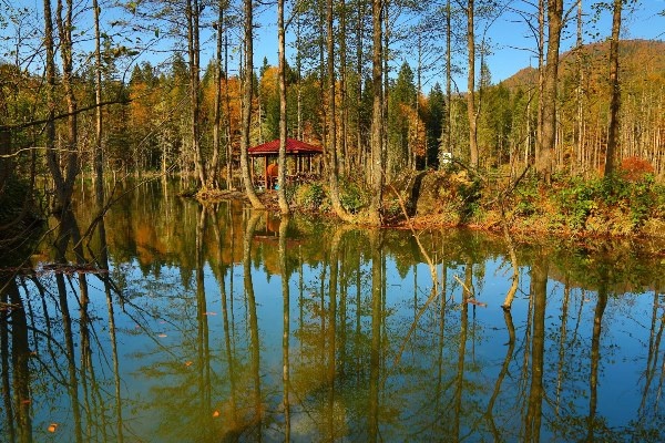 UNESCO korumalı Macahel’de sonbahar büyüleyici manzaralar sundu 6