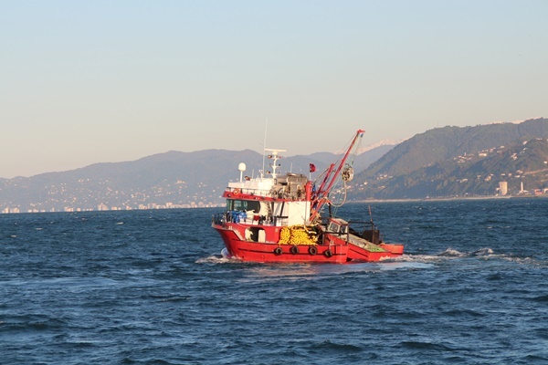 Karadeniz’de balıkçıların zorlu balık avı mesaisi 6