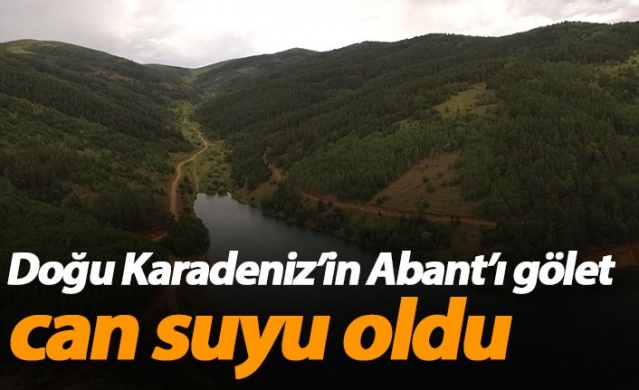 Doğu Karadeniz’in Abant’ı gölet, can suyu oldu 1