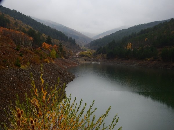 Doğu Karadeniz’in Abant’ı gölet, can suyu oldu 3