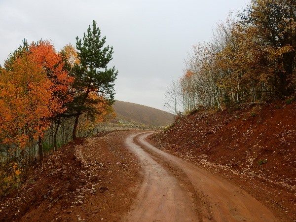 Doğu Karadeniz’in Abant’ı gölet, can suyu oldu 10