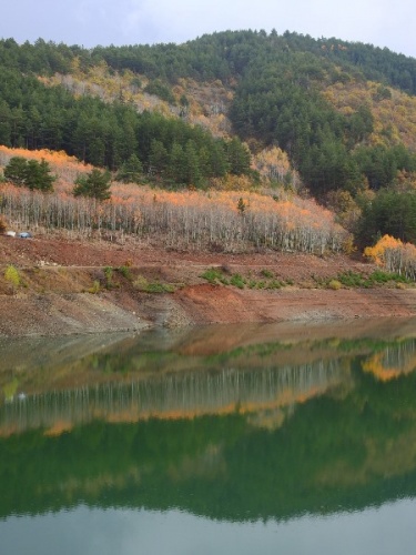 Doğu Karadeniz’in Abant’ı gölet, can suyu oldu 9