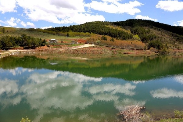 Doğu Karadeniz’in Abant’ı gölet, can suyu oldu 4