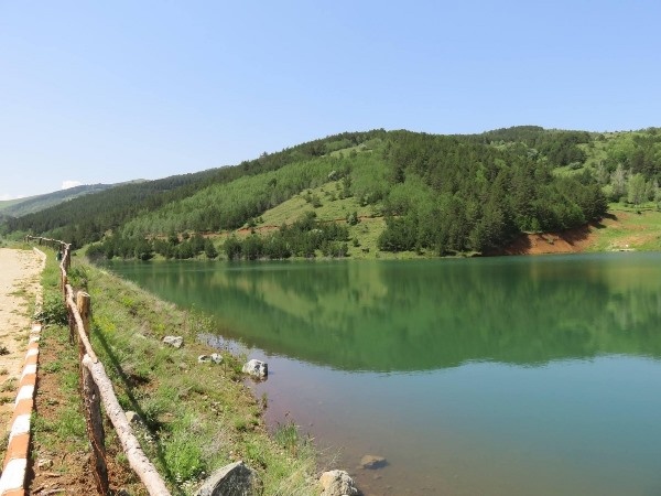 Doğu Karadeniz’in Abant’ı gölet, can suyu oldu 7