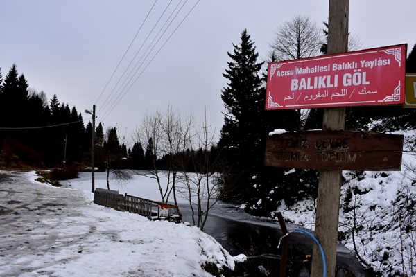 Trabzon'da doğa harikası Balıklıgöl buz tuttu 4