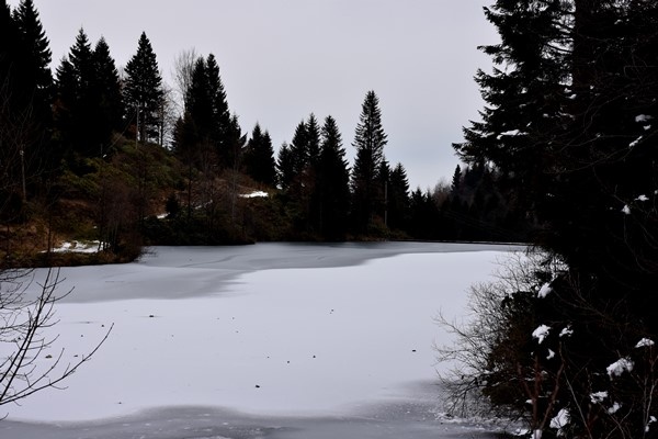 Trabzon'da doğa harikası Balıklıgöl buz tuttu 13