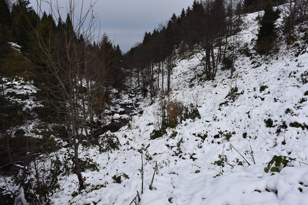 Trabzon'da doğa harikası Balıklıgöl buz tuttu 9
