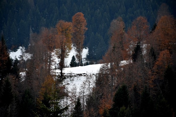 Trabzon'da doğa harikası Balıklıgöl buz tuttu 8